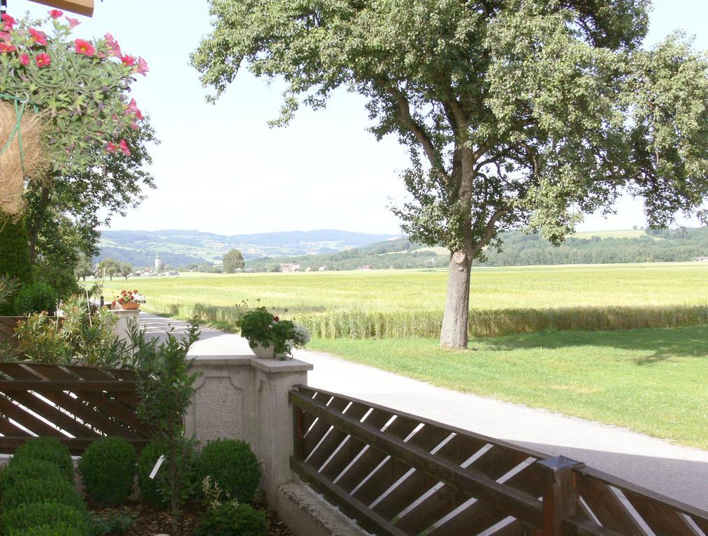 Privatzimmer Und Ferienwohnungen Leeb Persenbeug Exterior photo